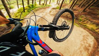 T-BOGS and TABLES on Flow Trails!  |  Back in...