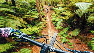New Zealand mountain biking can't get much...