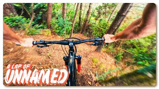We Found a Savage Old Unnamed Trail at Oropi...