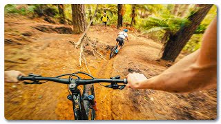 30 Minutes of Raw Redwoods Racing | Mud...