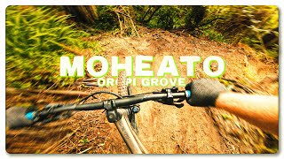 MOHEATO!  |  A New Grade 4 that I would be...