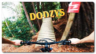 The BIG GAPS at DODZY'S SKILLS PARK!  |  GoPro...