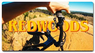 Uplifts in the Rotorua Redwoods  |  EVO Cycles...