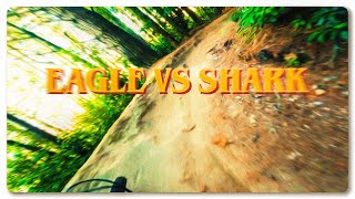 Low Key Super D - Eagle vs Shark - 8th place...