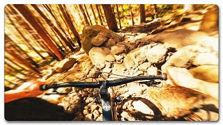 BRUTAL RIDING at Christchurch Adventure Park ...