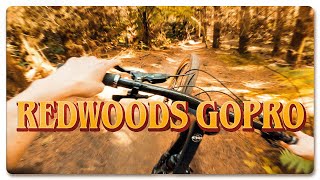 FINAL GoPro Hero 8 Setup!  |  Redwoods Rotorua