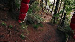 Riding the Redwoods | RAW