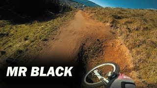 Mr Black - Skyline Rotorua POV