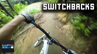 SwitchBacks POV | Oropi Grove