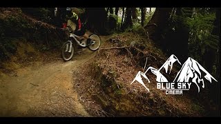 Oropi Grove | Downhill Mountain biking