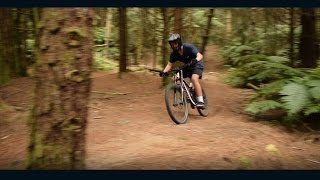 Double Down | Redwoods Trail