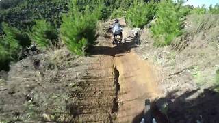 Rotorua Redwoods | Down The Guts | Gopro