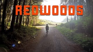 Redwoods Mashup - April 2016