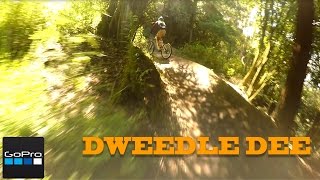 Skyline Rotorua | Dweedle Dee Gopro Run