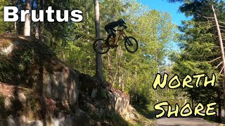 Race Training Laps On Cypress Tunred Into Me...