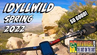 Idyllwild Hub Trails MTB Goodness! Spring 2022