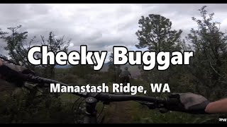 Cheeky Buggar | Mountain Bike Manastash Ridge, WA