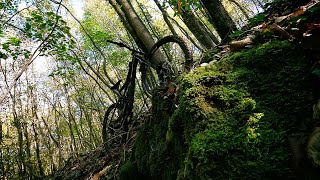 Treignes trails