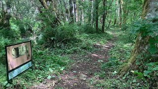 Woods Creek Watchable Wildlife Story Trail