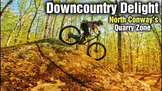 Downcountry Delight | Mountain Biking North...
