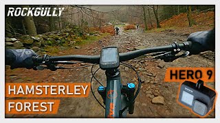 Hamsterley Forest with the Hero 9 - County...