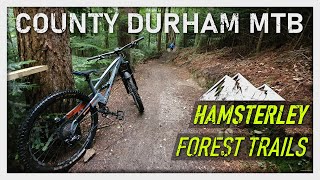 Hamsterley Forest Trail Centre | County Durham...