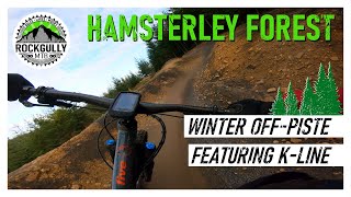 Hamsterley Forest Winter Mountain Biking -...
