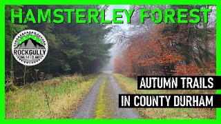 Hamsterley Forest Trails and Off-piste...