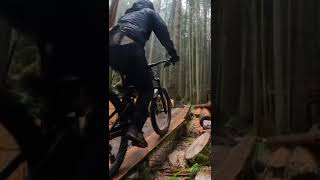 Dank Days in Squamish. No added sound required...
