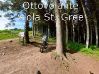 Ottovolante in 360 - Viola St. Gree