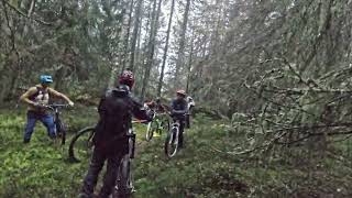 30 09 2021 Hylliskogen - My ankle hurt and...