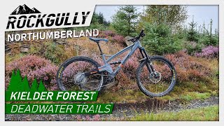 Kielder Forest - Deadwater Trails -...