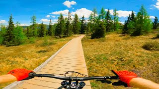 FLOWLINE, Schladming .. THIS TRAIL IS SH!T