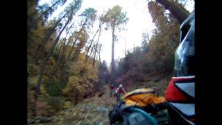 AZ DH MTB: Ice House Trail 2012 : Tonto...
