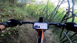 Valley Crew MTB Bike Area sul Monte Avellana -...