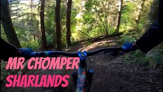 Mr Chomper, Sharlands, Nelson, New Zealand,...