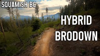 Hybrid & Brodown - 2022