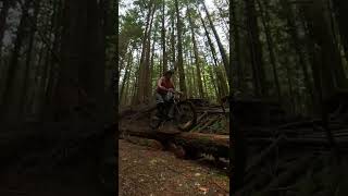 New trail #shorts All About Yew in Squamish