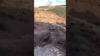 Pinkbike Friday Fails  #224 | #Shorts