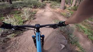 Tahoe: Donkey Town Trail 2022.06.09