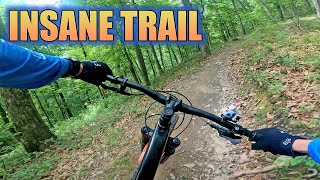 Flint Lock Trail Is Something Else In Port...