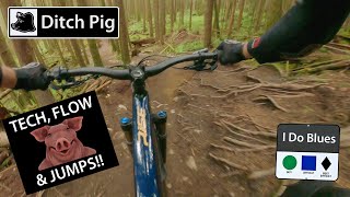 DITCH PIG: Squamish: Trail Review