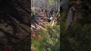 Pinkbike Friday Fails  #224 | #Shorts