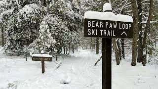 Cross Country Ski - Bear Paw Loop, Tiadaghton...