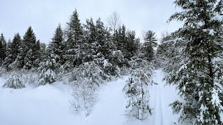 Cross Country Ski - Moss-Hanne, Indian, Seneca...