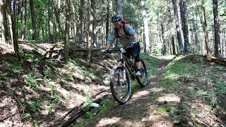 Mountain Bike - 2021 Laurel Classic MTB...