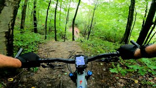 Mountain Bike - Lower Fern Gully Trail,...