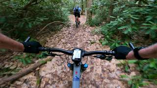 Mountain Bike - Rothrock Regulators - Colyer...