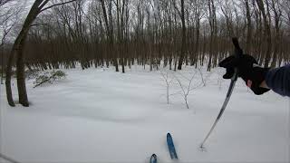 Cross Country Ski - Fear and Loathing Along...