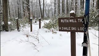 Cross Country Ski - Ruth Will Trail (Black...